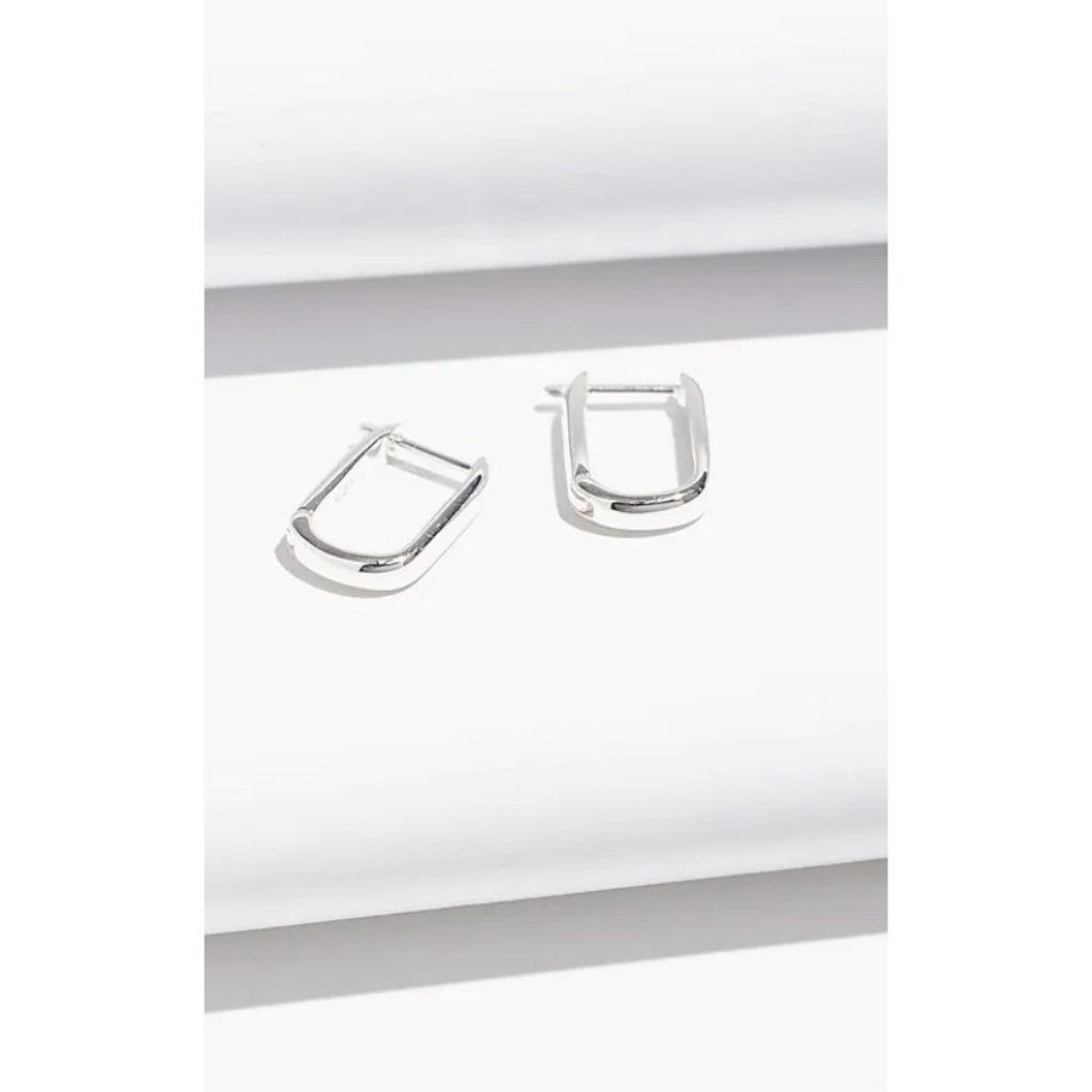 Madewell 48 Delicate Collection Demi-Fine Carabiner Hoop Earrings Ni787 Silver 40$